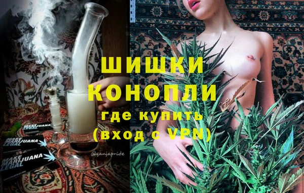 крисы Бугульма